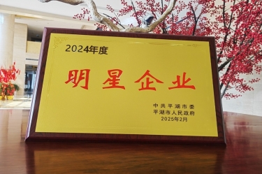 新春新景新氣象 | 景興紙業(yè)在平湖三干大會(huì)上喜摘榮譽(yù)！